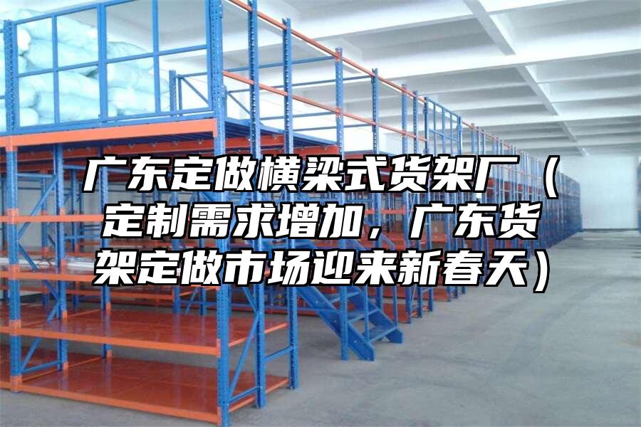 廣東定做橫梁式貨架廠（定制需求增加，廣東貨架定做市場迎來新春天）