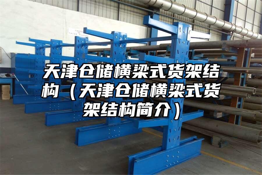 天津倉(cāng)儲(chǔ)橫梁式貨架結(jié)構(gòu)（天津倉(cāng)儲(chǔ)橫梁式貨架結(jié)構(gòu)簡(jiǎn)介）
