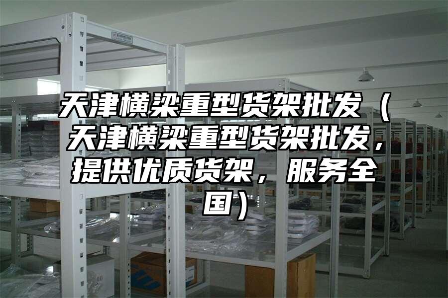天津橫梁重型貨架批發（天津橫梁重型貨架批發，提供優質貨架，服務全國）
