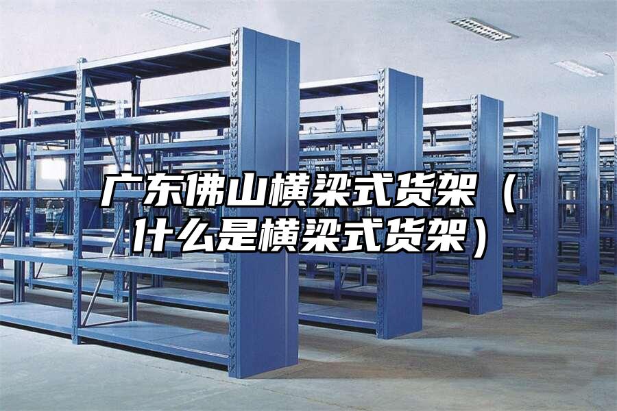 廣東佛山橫梁式貨架（什么是橫梁式貨架）