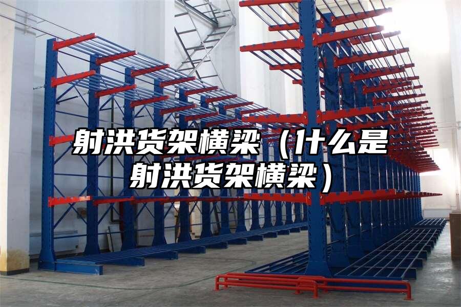 射洪貨架橫梁（什么是射洪貨架橫梁）