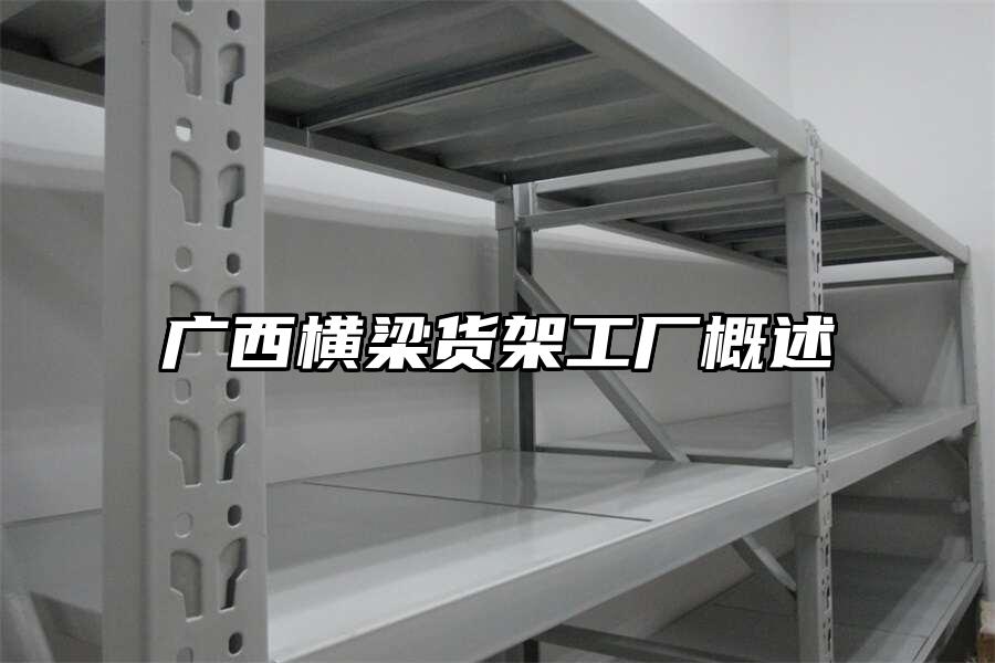 廣西橫梁貨架工廠概述