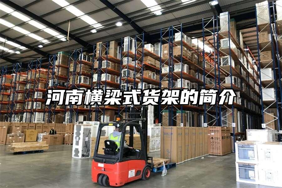 河南橫梁式貨架的簡介