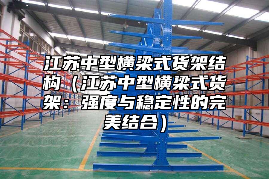 江蘇中型橫梁式貨架結構（江蘇中型橫梁式貨架：強度與穩(wěn)定性的完美結合）