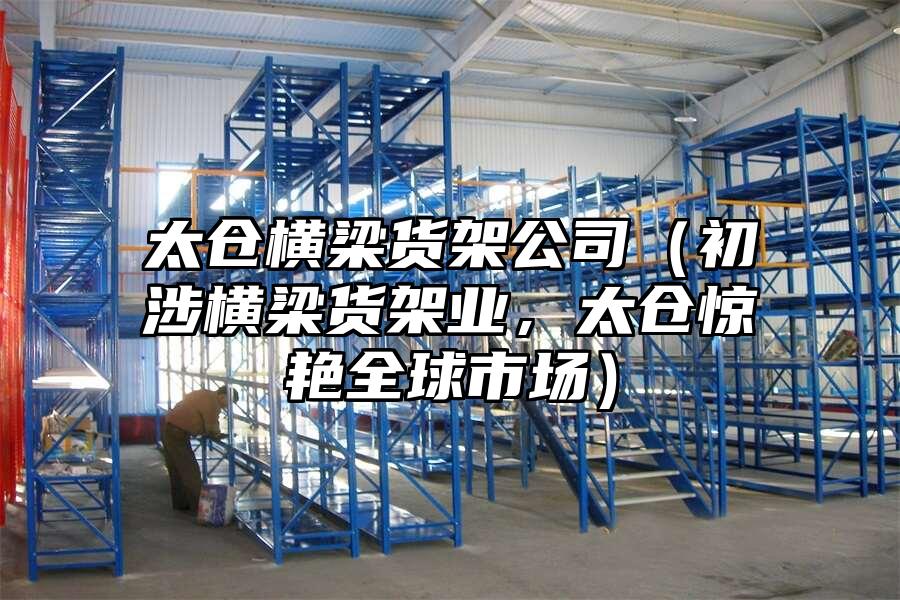 太倉橫梁貨架公司（初涉橫梁貨架業，太倉驚艷全球市場）