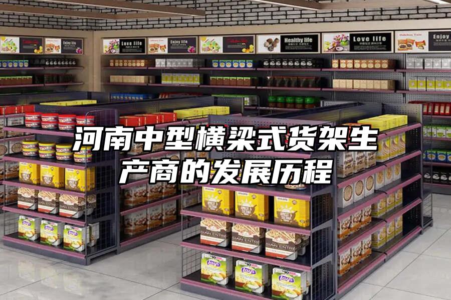 河南中型橫梁式貨架生產商的發展歷程