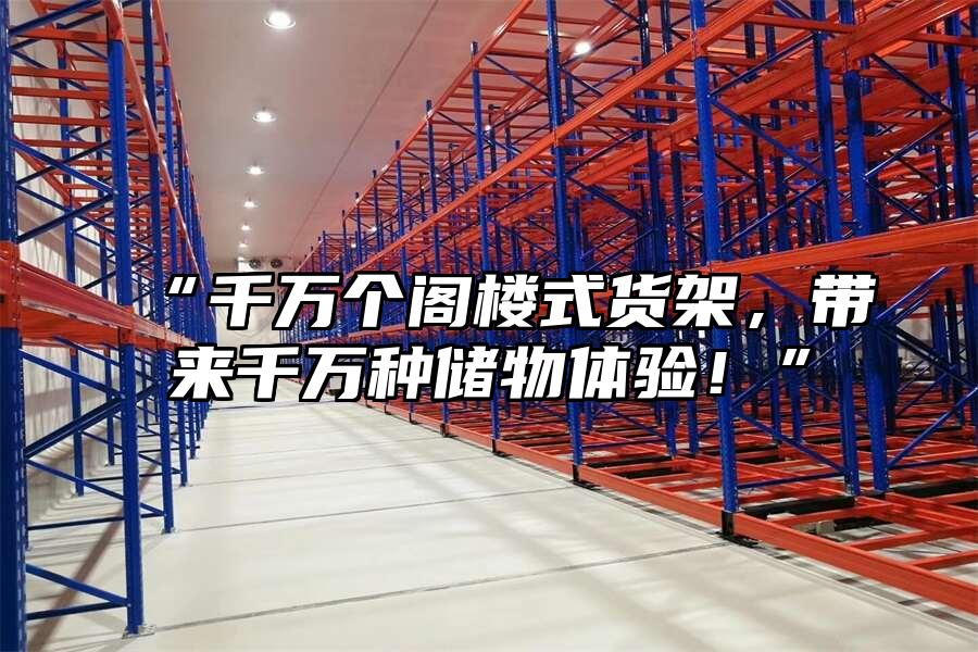 “千萬個(gè)閣樓式貨架，帶來千萬種儲(chǔ)物體驗(yàn)！”