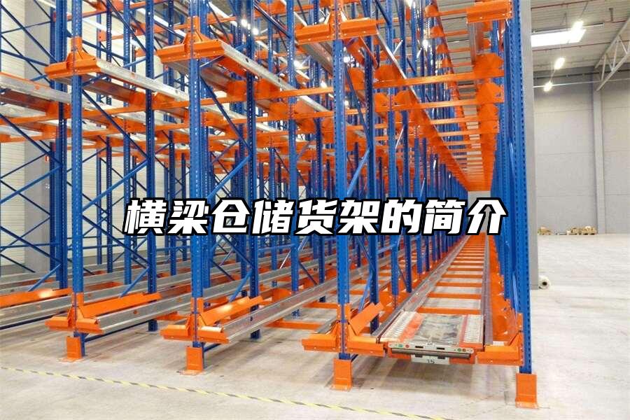 橫梁倉儲貨架的簡介