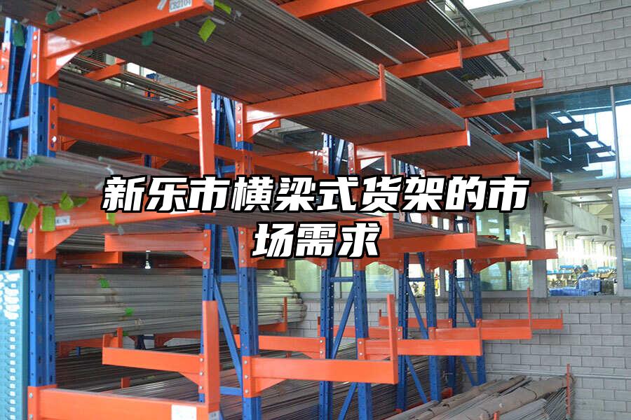 新樂市橫梁式貨架的市場需求