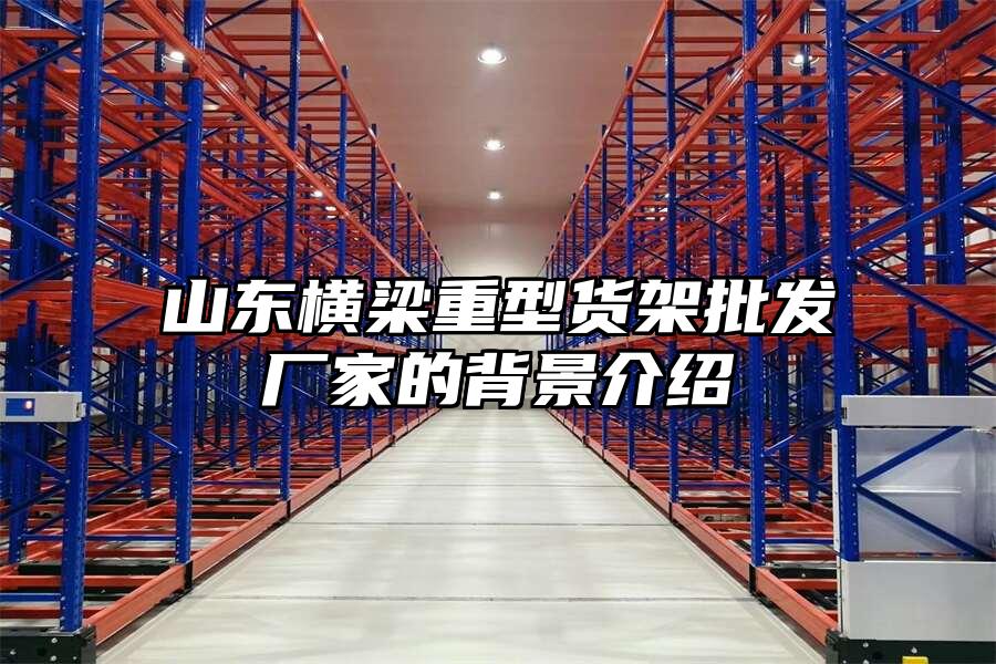 山東橫梁重型貨架批發(fā)廠家的背景介紹