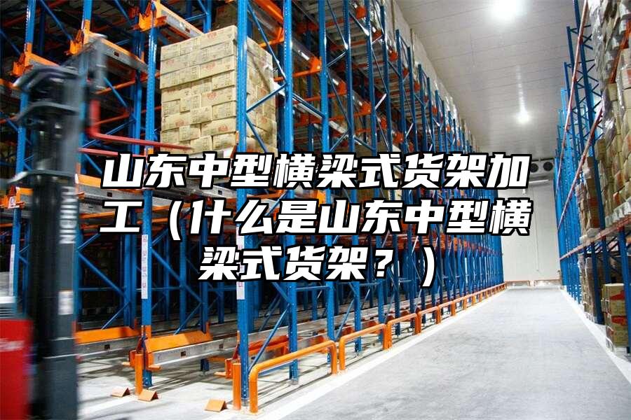 山東中型橫梁式貨架加工（什么是山東中型橫梁式貨架？）