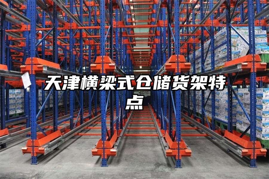 天津橫梁式倉儲貨架特點