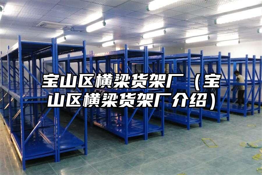 寶山區橫梁貨架廠（寶山區橫梁貨架廠介紹）