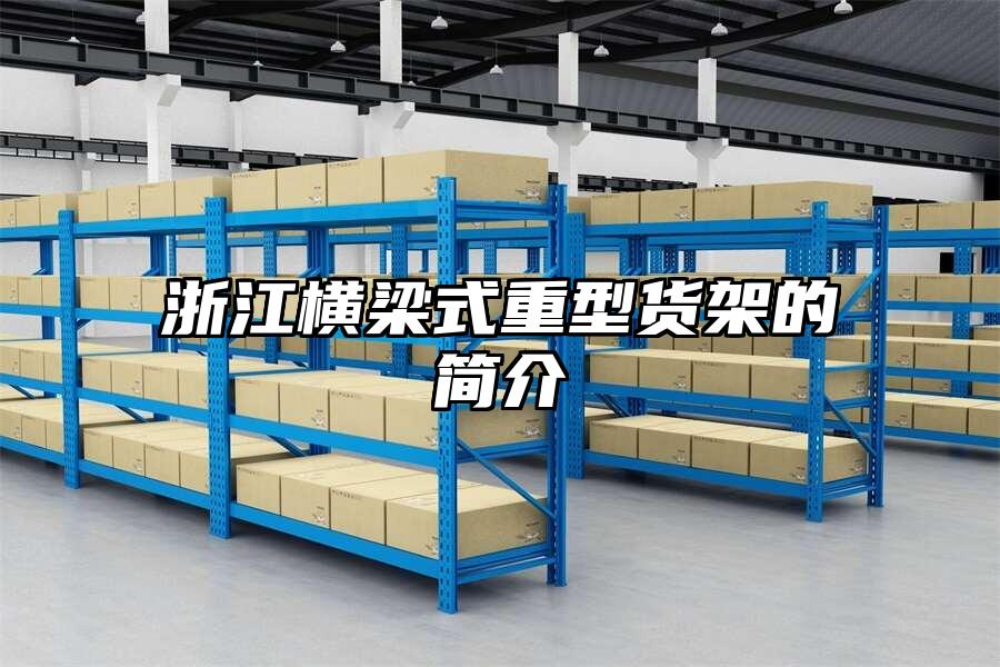 浙江橫梁式重型貨架的簡介