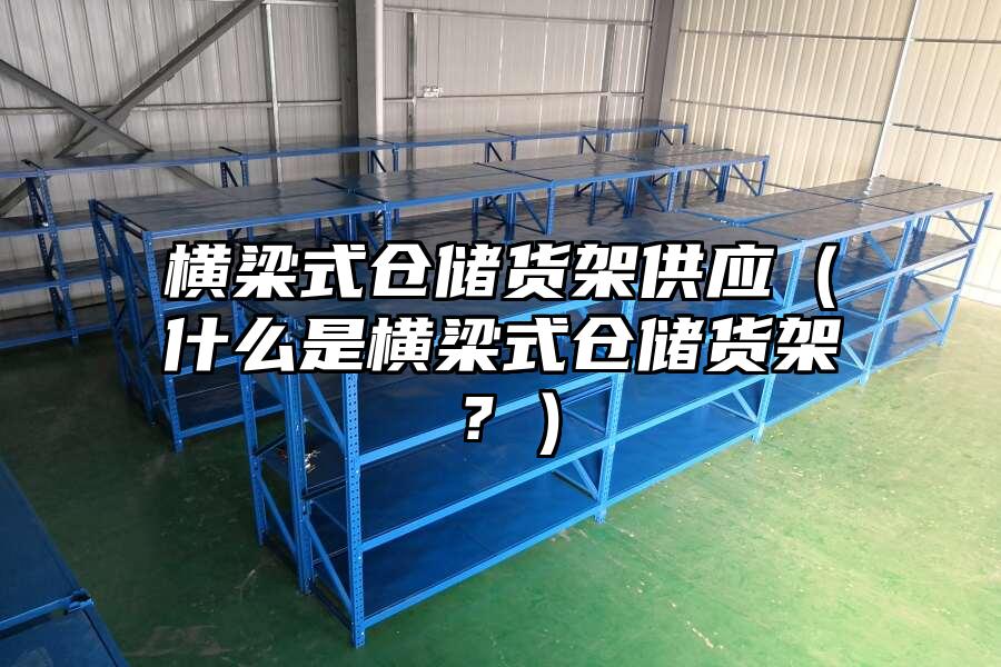 橫梁式倉儲貨架供應（什么是橫梁式倉儲貨架？）