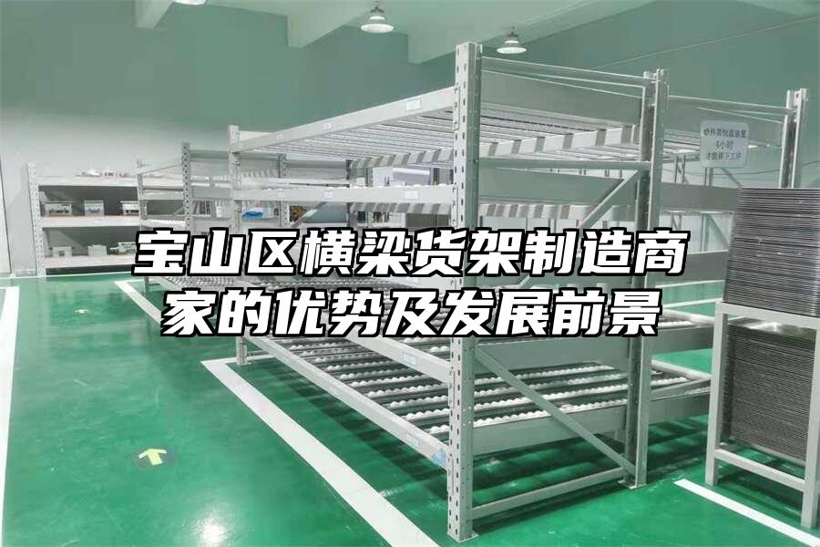 寶山區(qū)橫梁貨架制造商家的優(yōu)勢及發(fā)展前景
