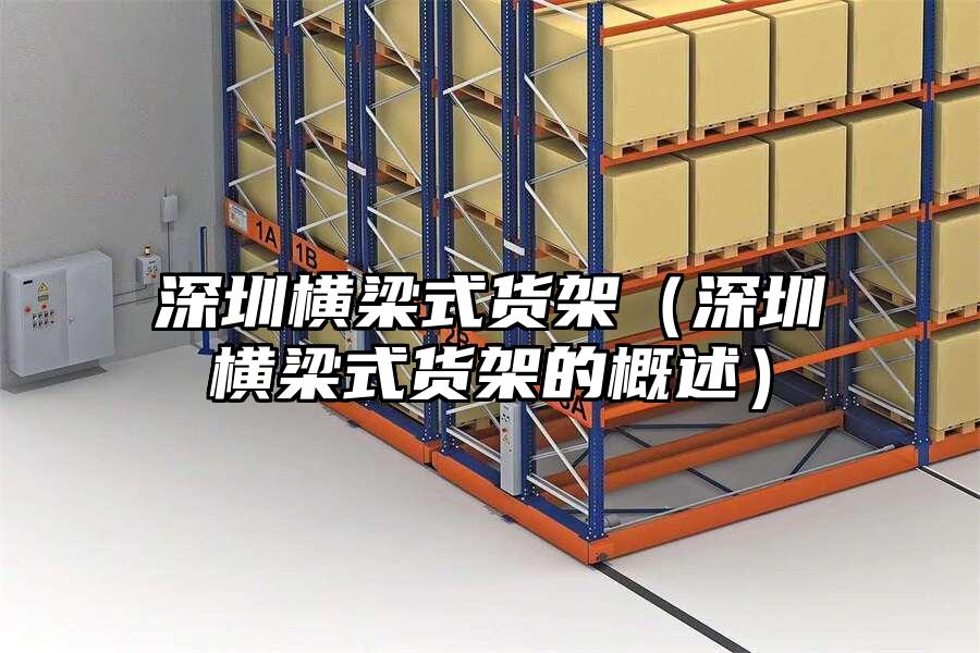 深圳橫梁式貨架（深圳橫梁式貨架的概述）