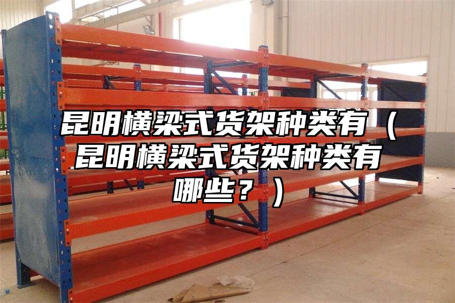 昆明橫梁式貨架種類有（昆明橫梁式貨架種類有哪些？）