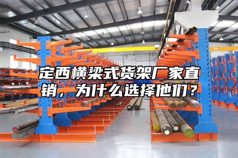 定西橫梁式貨架廠家直銷，為什么選擇他們？