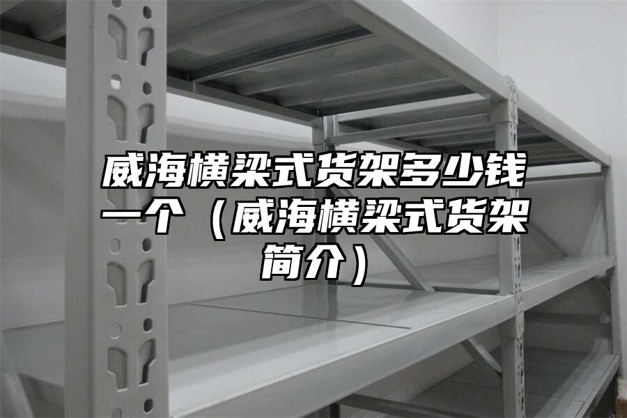 威海橫梁式貨架多少錢一個（威海橫梁式貨架簡介）