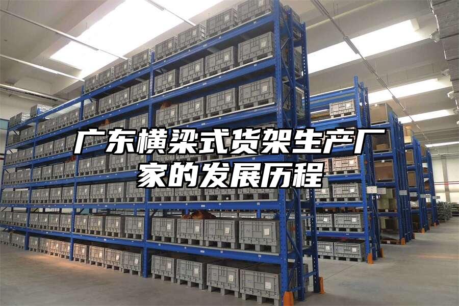 廣東橫梁式貨架生產(chǎn)廠家的發(fā)展歷程