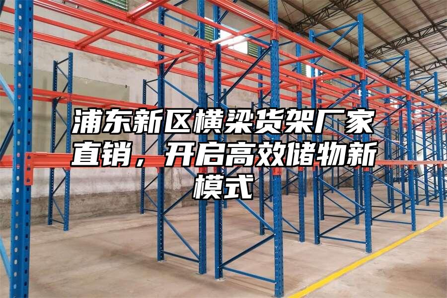 浦東新區橫梁貨架廠家直銷，開啟高效儲物新模式