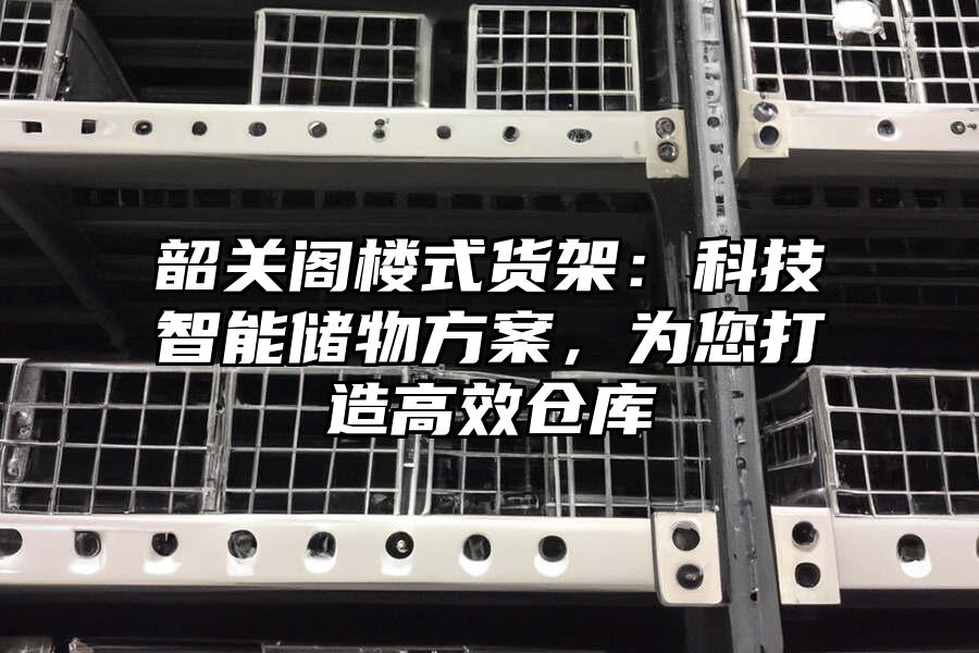 韶關(guān)閣樓式貨架：科技智能儲(chǔ)物方案，為您打造高效倉(cāng)庫(kù)