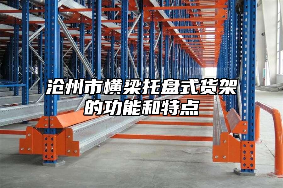 滄州市橫梁托盤式貨架的功能和特點