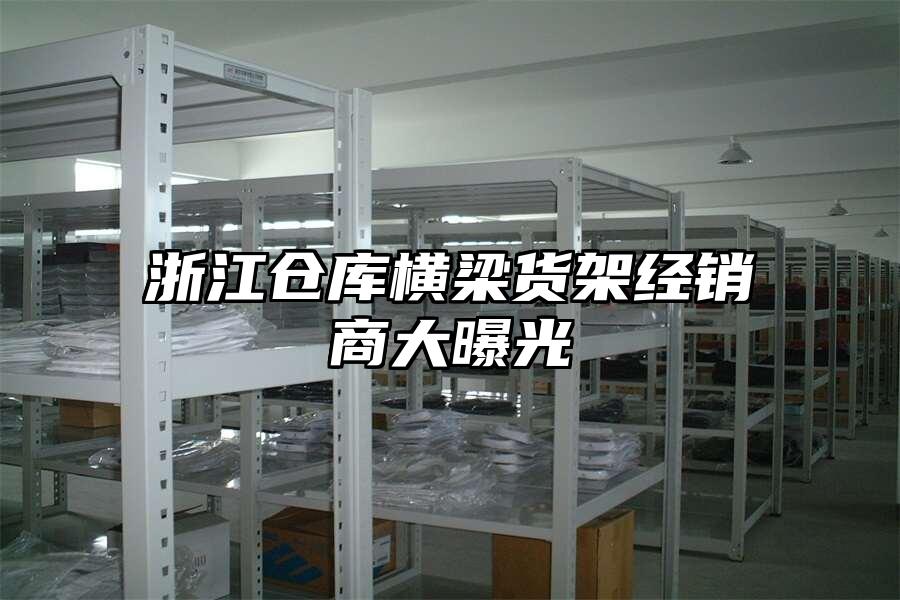 浙江倉庫橫梁貨架經銷商大曝光