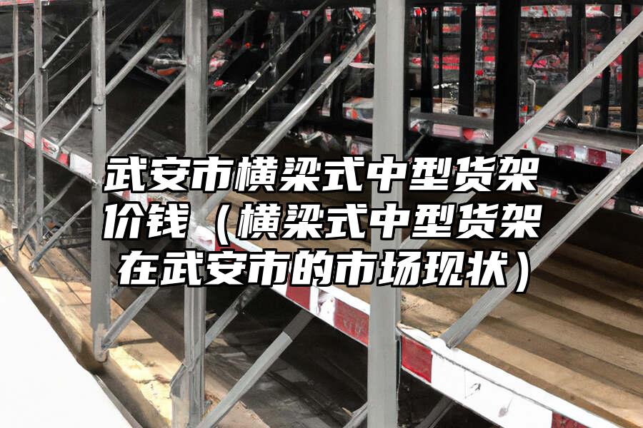 武安市橫梁式中型貨架價錢（橫梁式中型貨架在武安市的市場現狀）