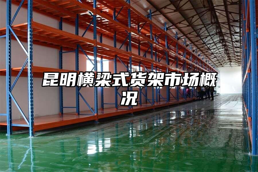 昆明橫梁式貨架市場概況