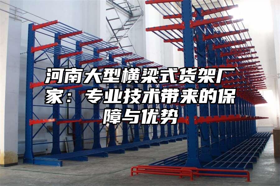 河南大型橫梁式貨架廠家：專業技術帶來的保障與優勢