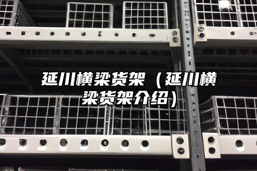 延川橫梁貨架（延川橫梁貨架介紹）