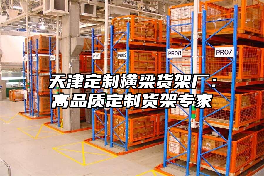 天津定制橫梁貨架廠：高品質(zhì)定制貨架專家