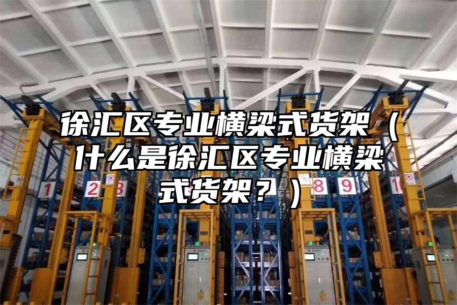 徐匯區專業橫梁式貨架（什么是徐匯區專業橫梁式貨架？）