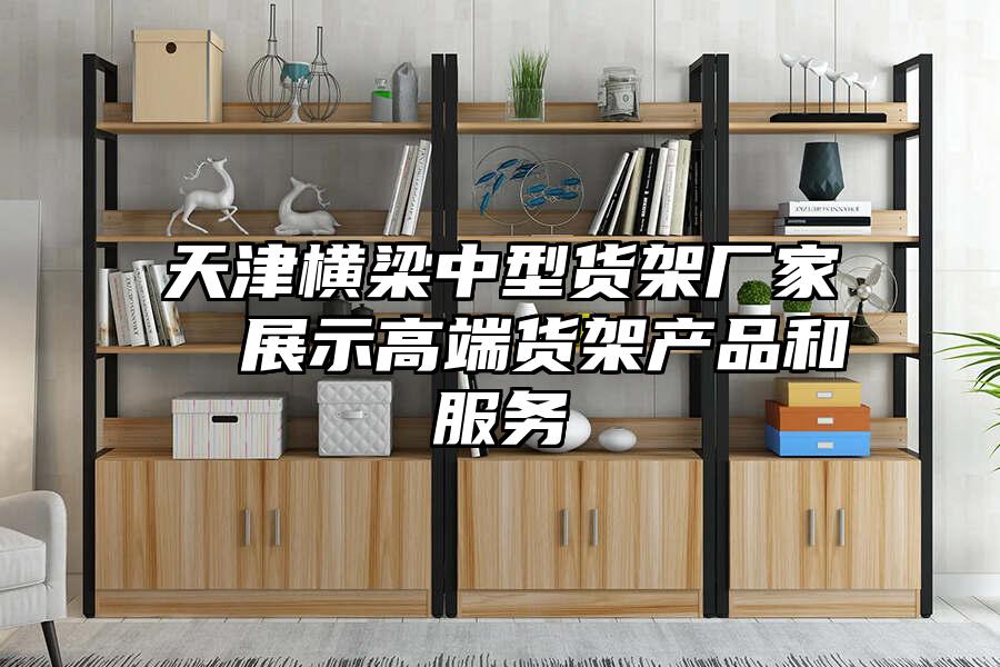 天津橫梁中型貨架廠家  展示高端貨架產(chǎn)品和服務