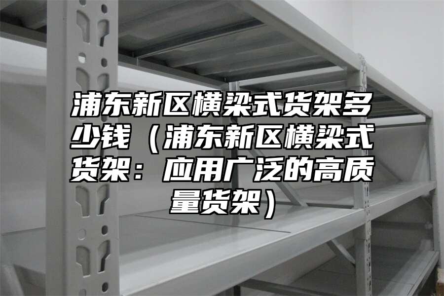 浦東新區橫梁式貨架多少錢（浦東新區橫梁式貨架：應用廣泛的高質量貨架）