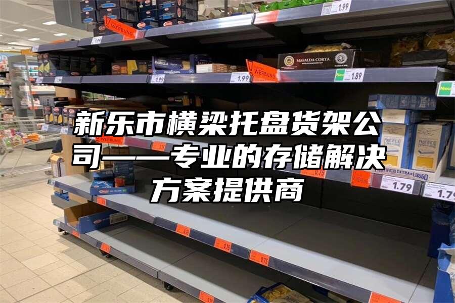 新樂市橫梁托盤貨架公司——專業的存儲解決方案提供商