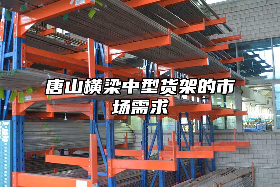 唐山橫梁中型貨架的市場需求