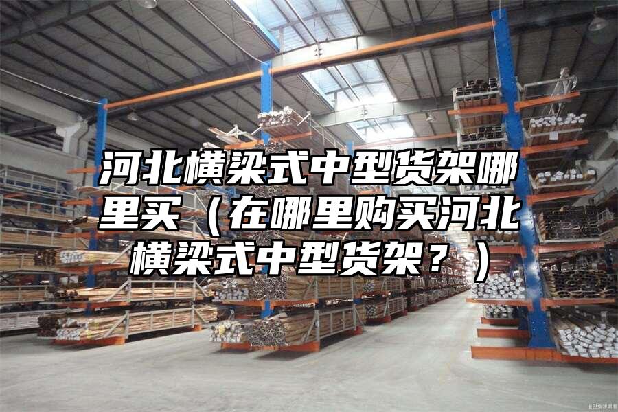 河北橫梁式中型貨架哪里買（在哪里購買河北橫梁式中型貨架？）