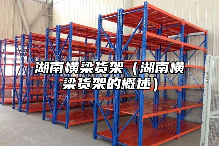 湖南橫梁貨架（湖南橫梁貨架的概述）