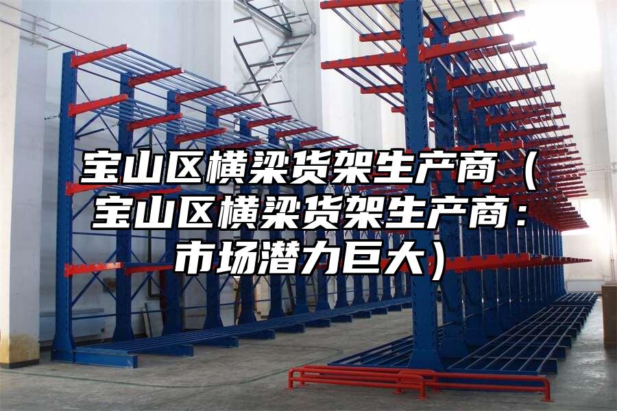 寶山區(qū)橫梁貨架生產(chǎn)商（寶山區(qū)橫梁貨架生產(chǎn)商：市場潛力巨大）