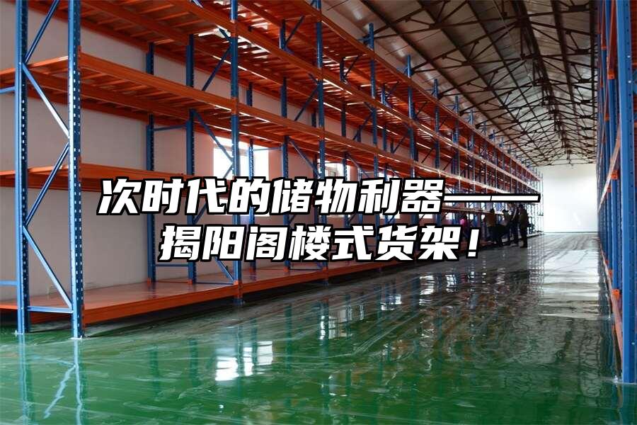 次時代的儲物利器——揭陽閣樓式貨架！