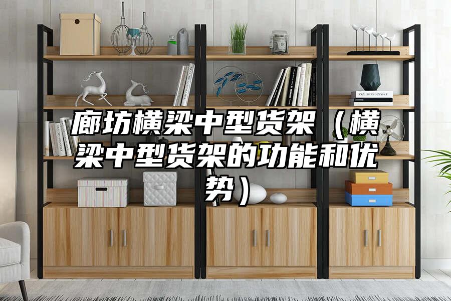 廊坊橫梁中型貨架（橫梁中型貨架的功能和優(yōu)勢）