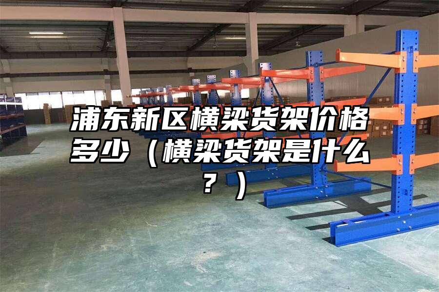 浦東新區(qū)橫梁貨架價(jià)格多少（橫梁貨架是什么？）