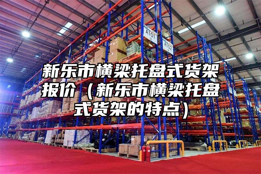 新樂市橫梁托盤式貨架報價（新樂市橫梁托盤式貨架的特點）