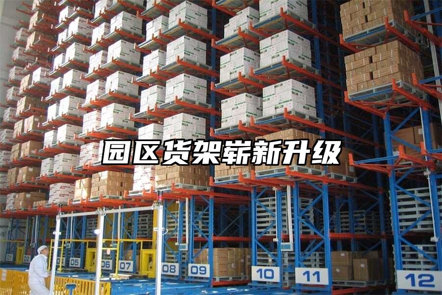 園區貨架嶄新升級