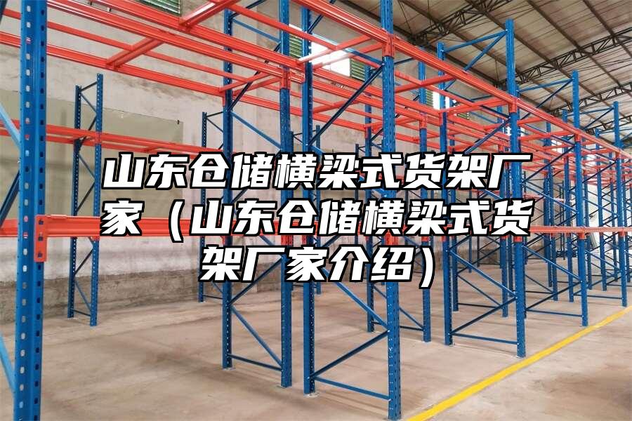 山東倉儲橫梁式貨架廠家（山東倉儲橫梁式貨架廠家介紹）