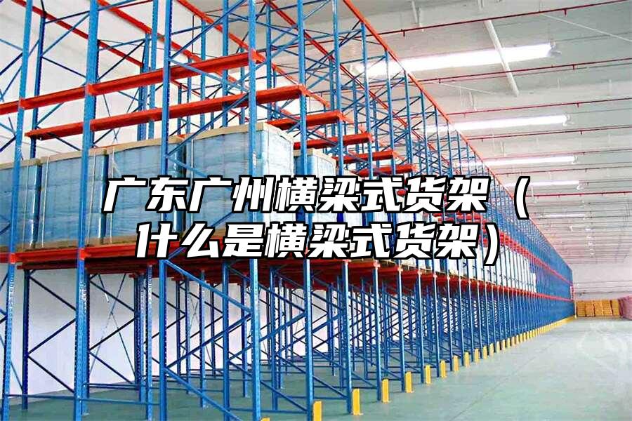 廣東廣州橫梁式貨架（什么是橫梁式貨架）