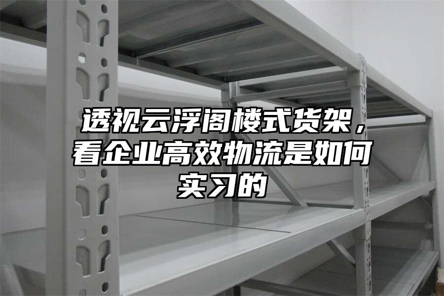 透視云浮閣樓式貨架，看企業高效物流是如何實習的